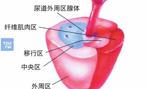 复方银翘安敏胶囊作用-复方银翘氨敏胶囊主治什么的网 :分享复方银翘氨敏胶囊是什么药-复方银翘氨敏胶囊主要成分是什么知识