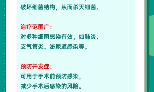 复方银翘氨敏胶囊主治什么的网 :分享复方银翘氨敏胶囊是什么药-复方银翘氨敏胶囊主要成分是什么知识